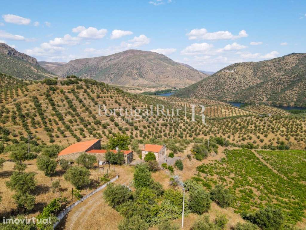 Quinta em Barca D'Alva - Douro - Grande imagem: 3/51