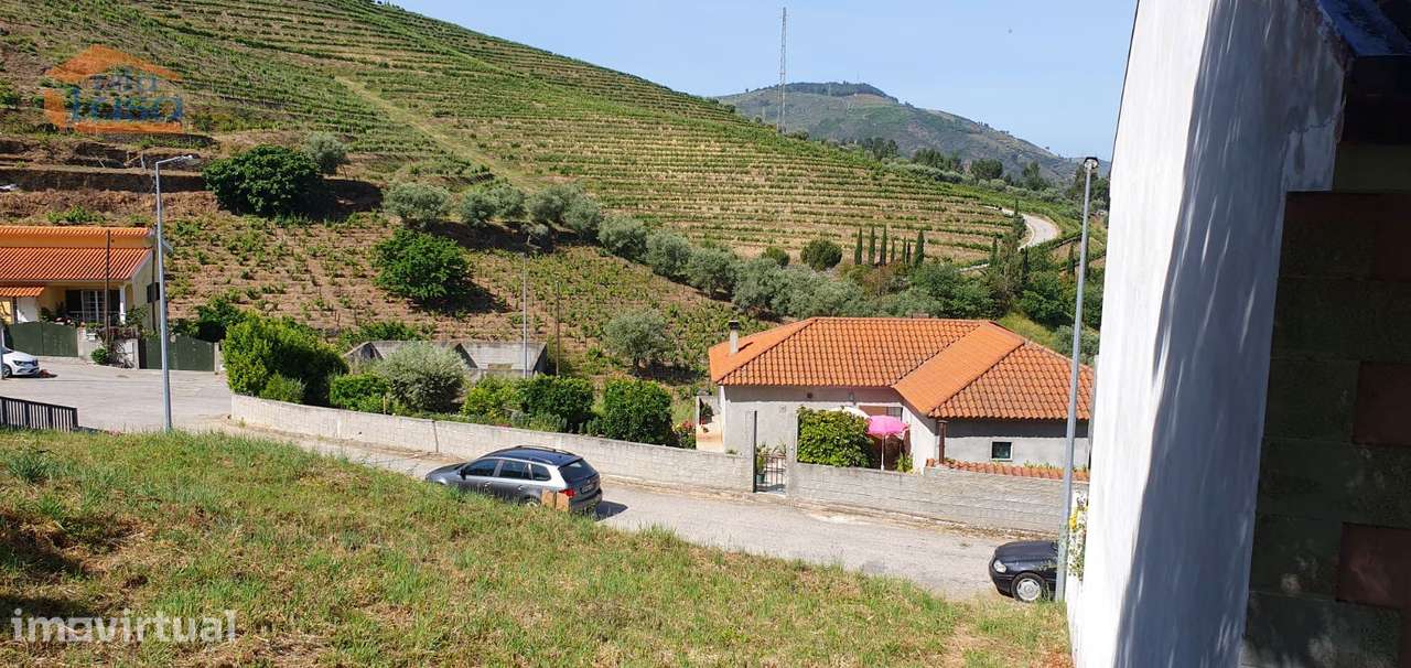 Terreno no Douro - Lameirão - Folgosa - Grande imagem: 3/4