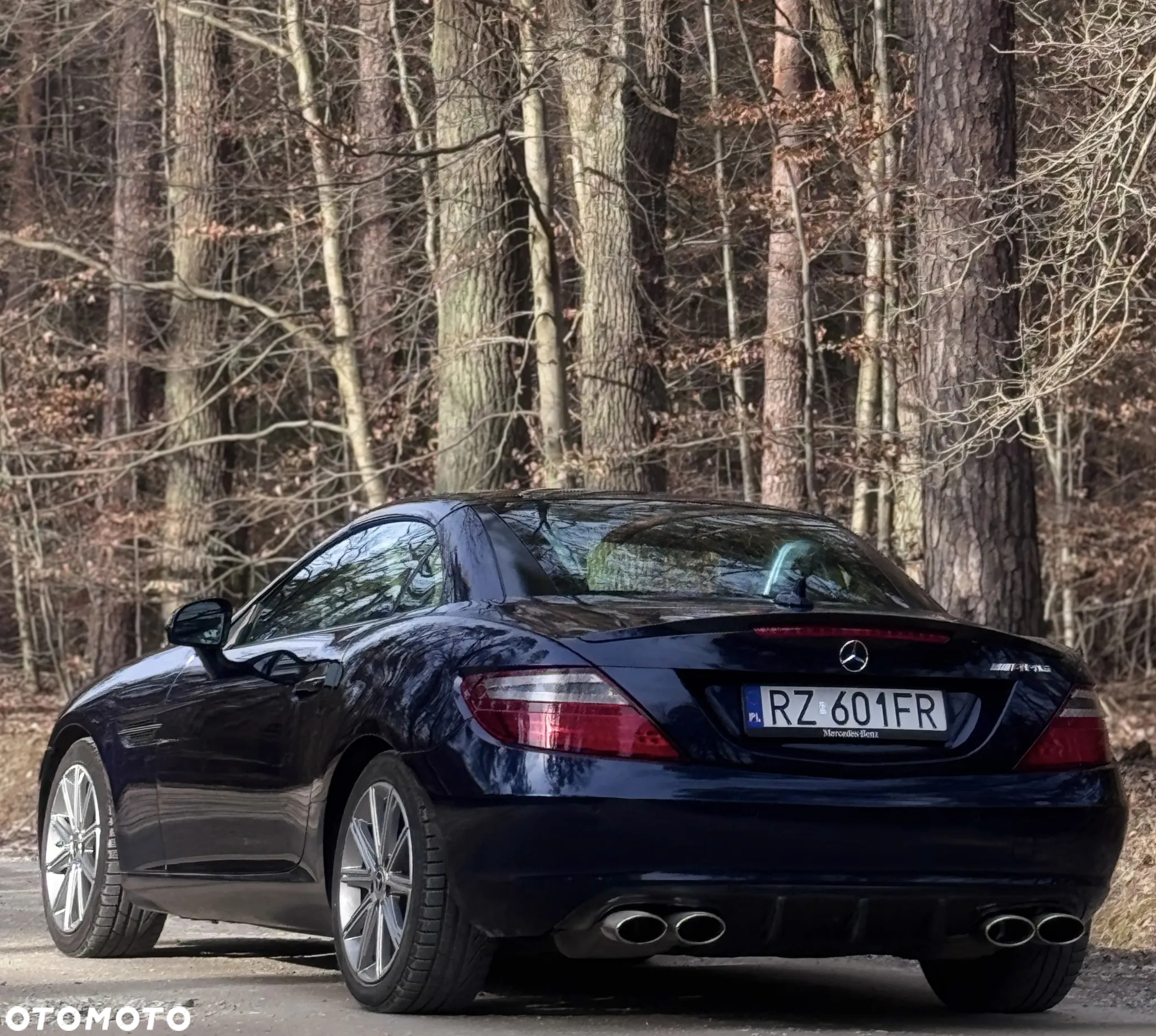 Mercedes-Benz SLK 350 (BlueEFFICIENCY) 7G-TRONIC - 16