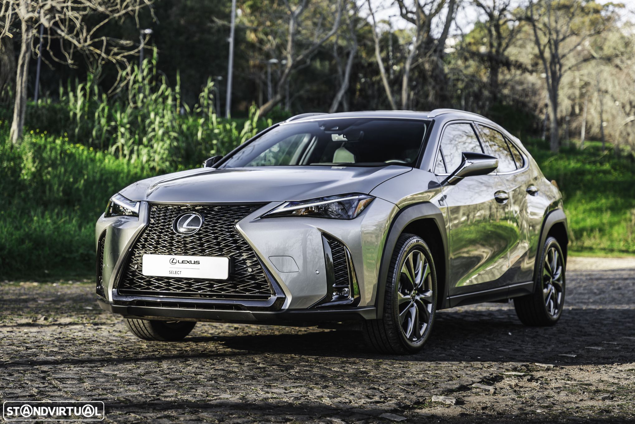 Lexus ux-250h - 1