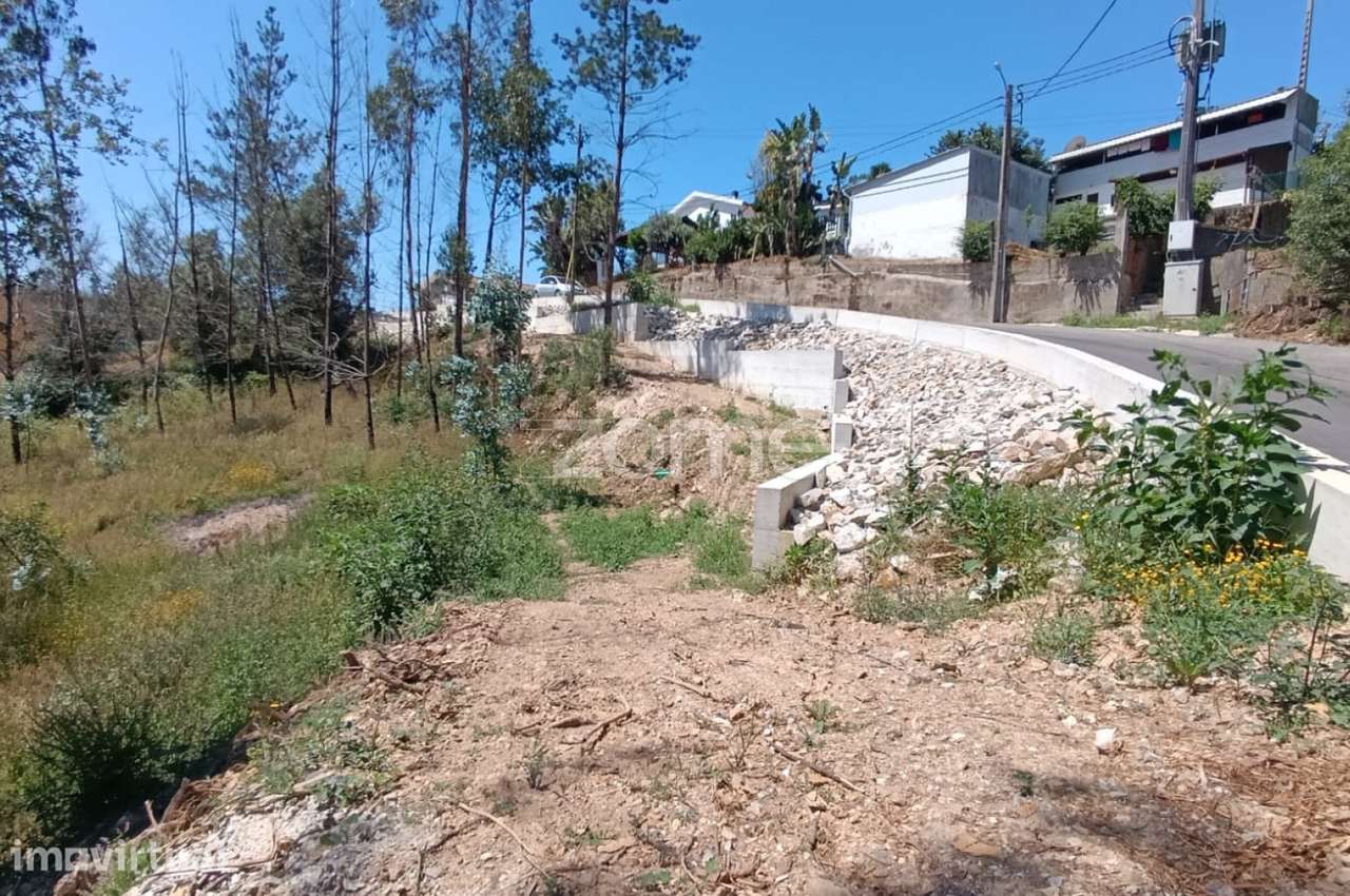 Terreno 1.412 m² | Construção, Habitação ou Indústria | Angeja - Grande imagem: 5/15