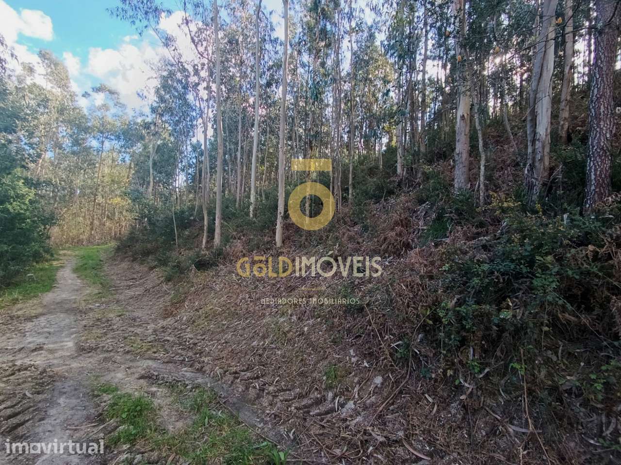 Terreno Rústico  Venda em Galegos,Penafiel - Grande imagem: 3/10