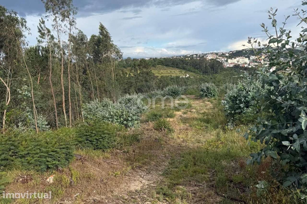 Terreno com 3.358 m² em São Martinho do Bispo - Grande imagem: 2/15