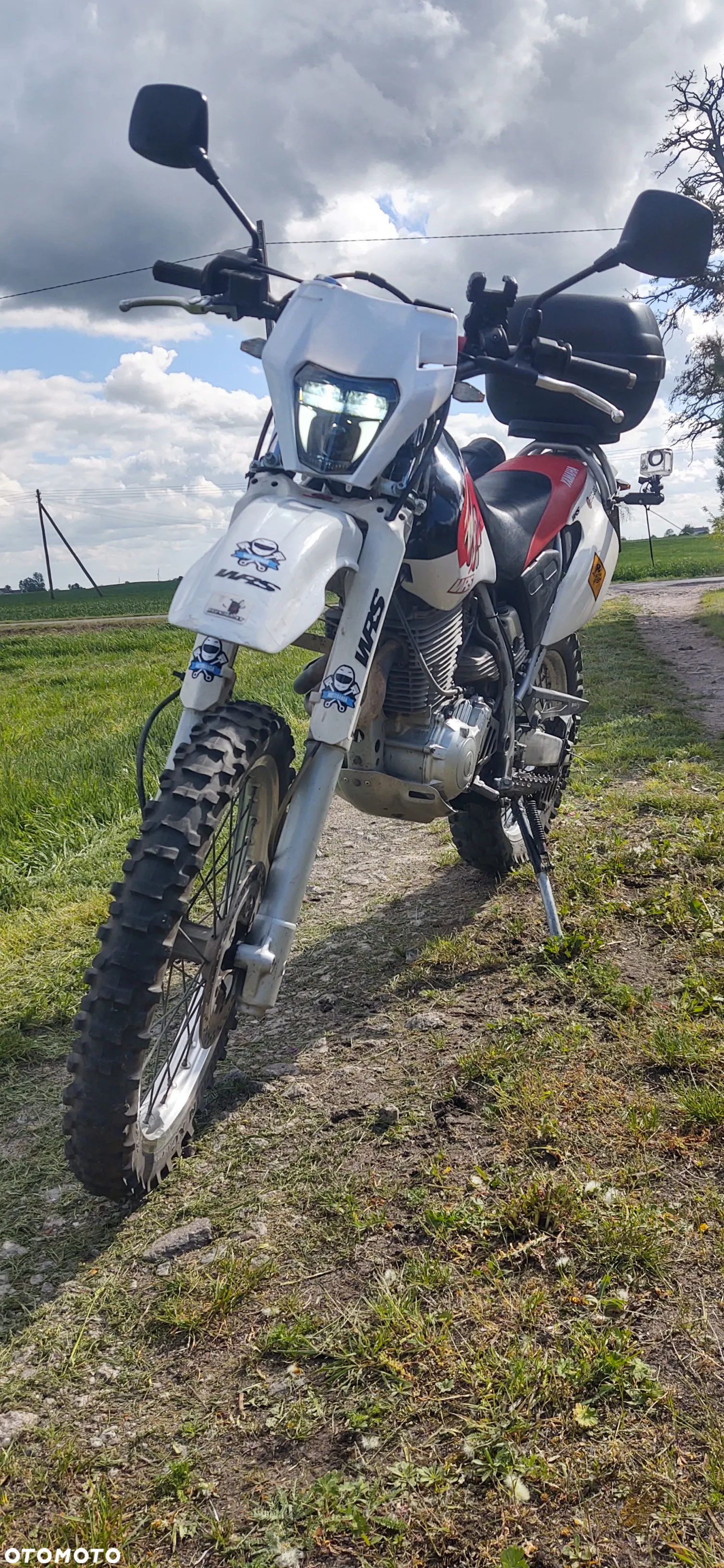 Yamaha TTR