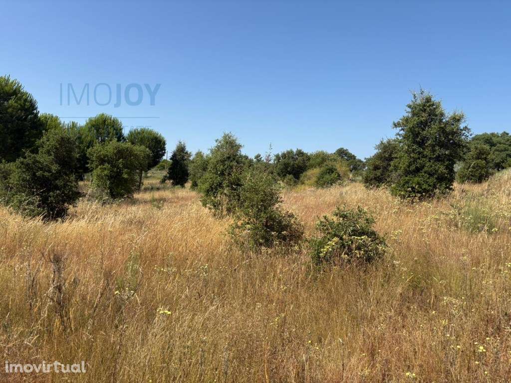 Fantástica Herdade na freguesia de Ninho de Açor e Sobral do Campo,... - Grande imagem: 4/14