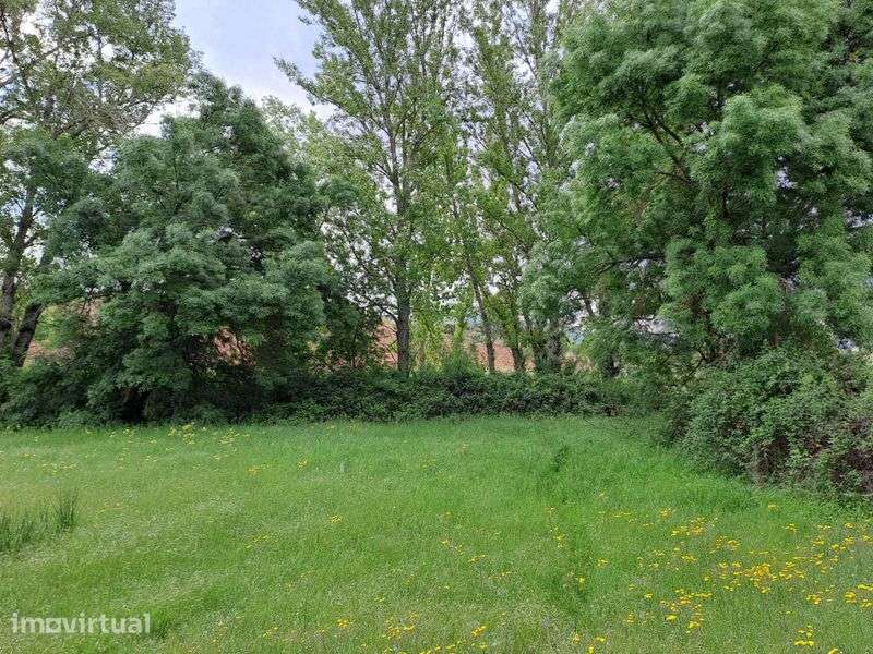 Terreno para venda em Baçal com 1,5 hectares - Bragança - Grande imagem: 3/10