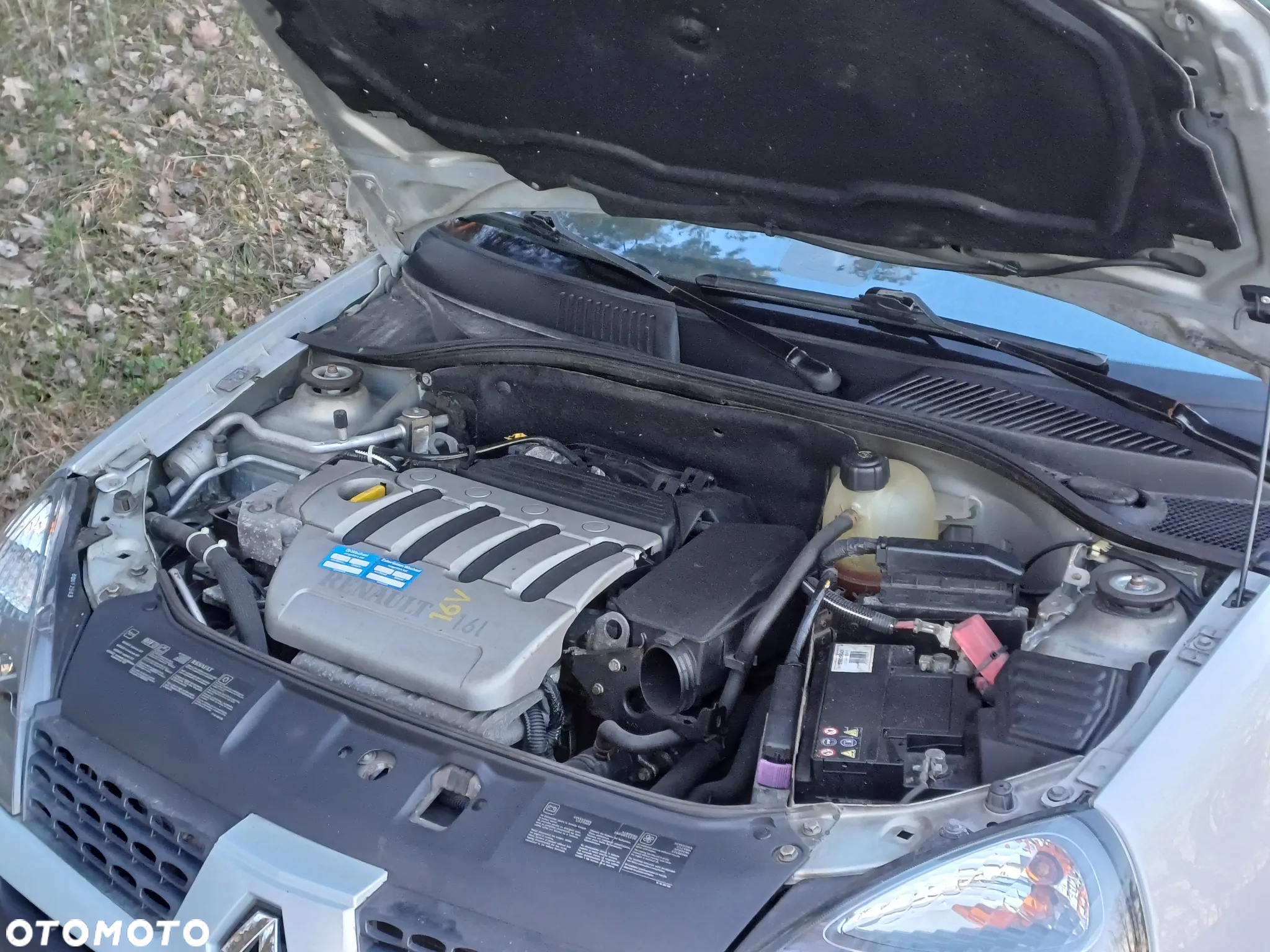 Renault Clio - 39