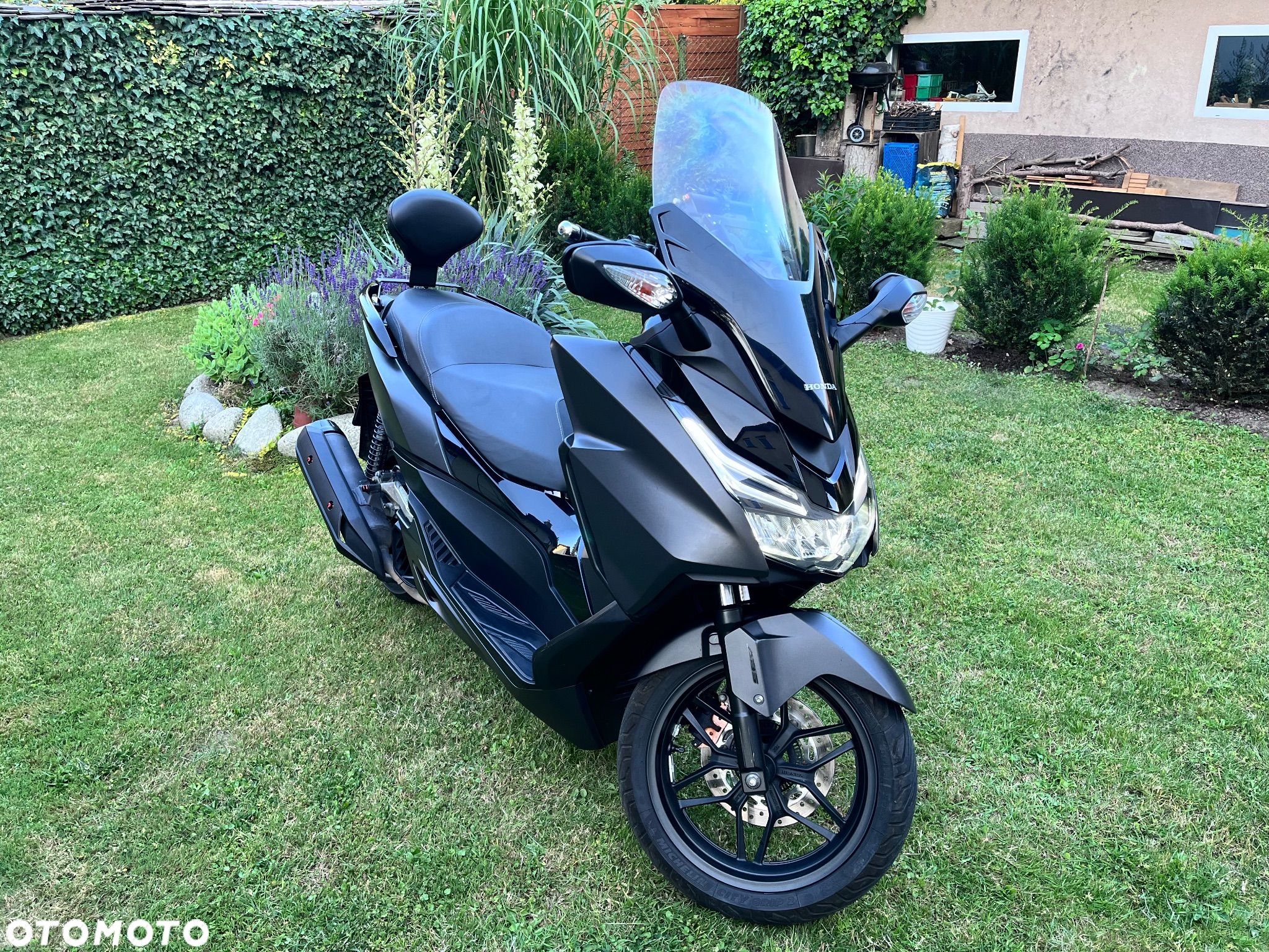 Honda NSS - 1