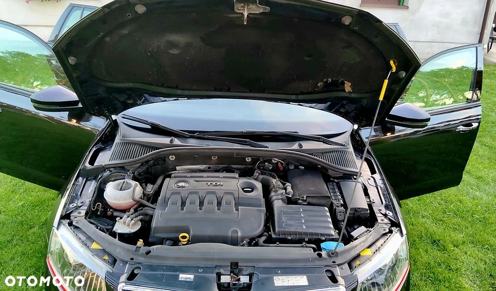 Skoda Octavia 2.0 TDI 4x4 DSG RS - 33