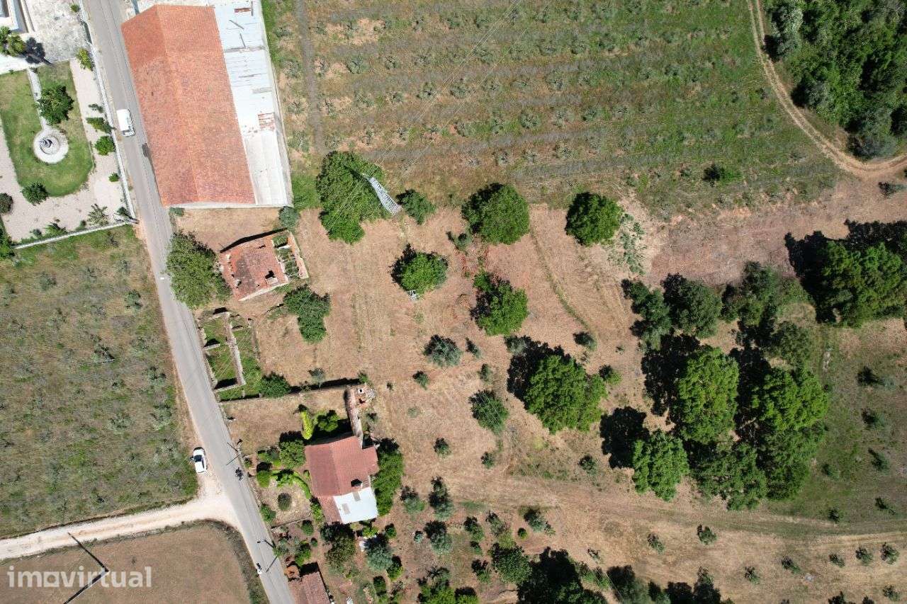 Terreno para Construção em Tomar - Grande imagem: 5/9