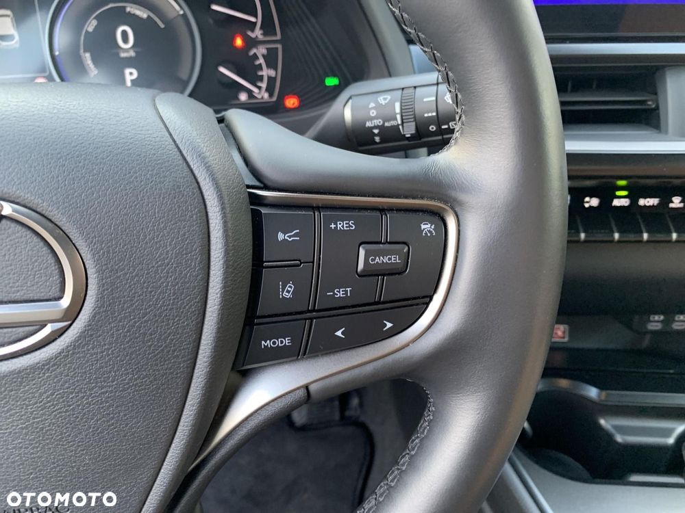 Lexus UX 250h GPF F Sport Design 2WD - 17