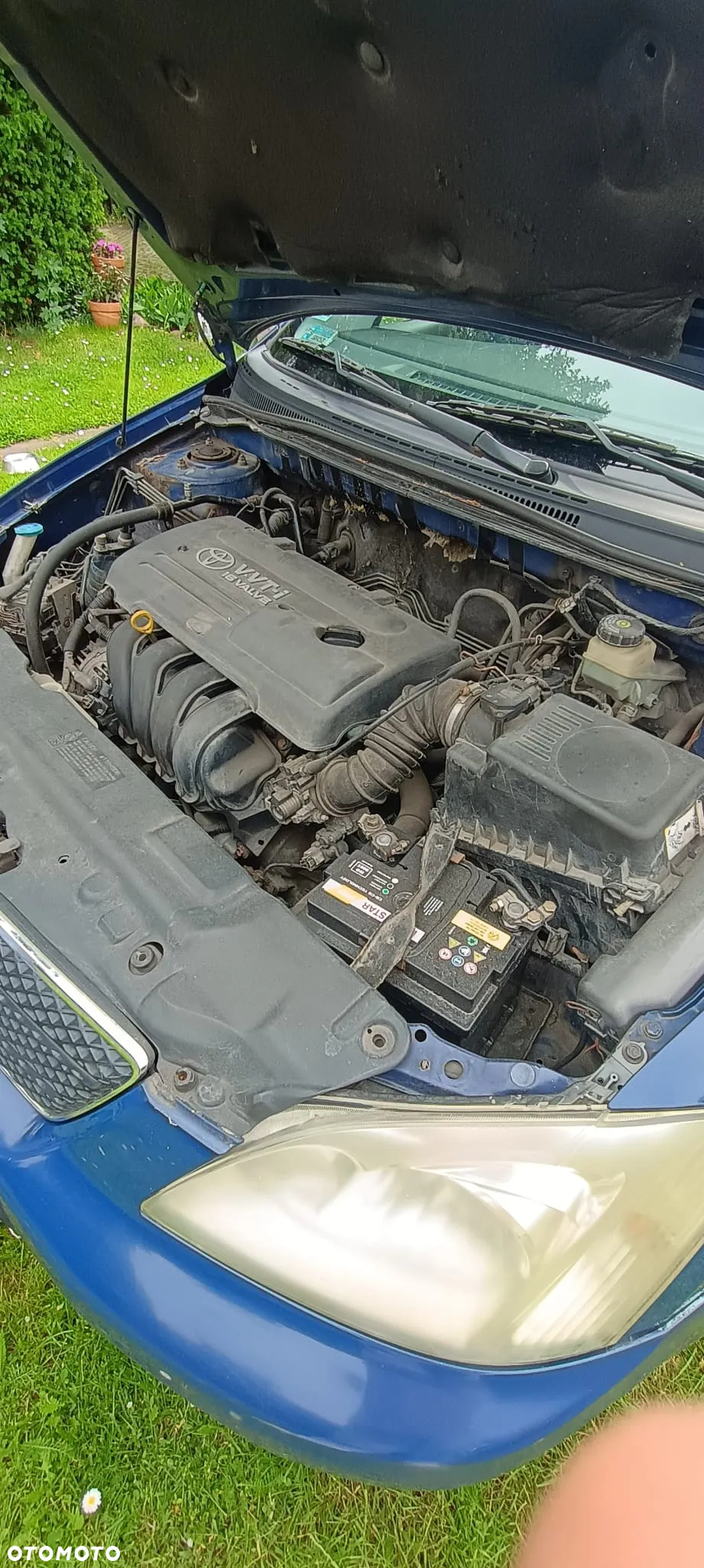 Toyota Corolla - 13