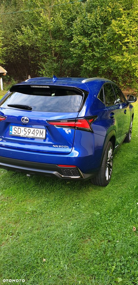 Lexus NX 300h F Sport AWD - 31