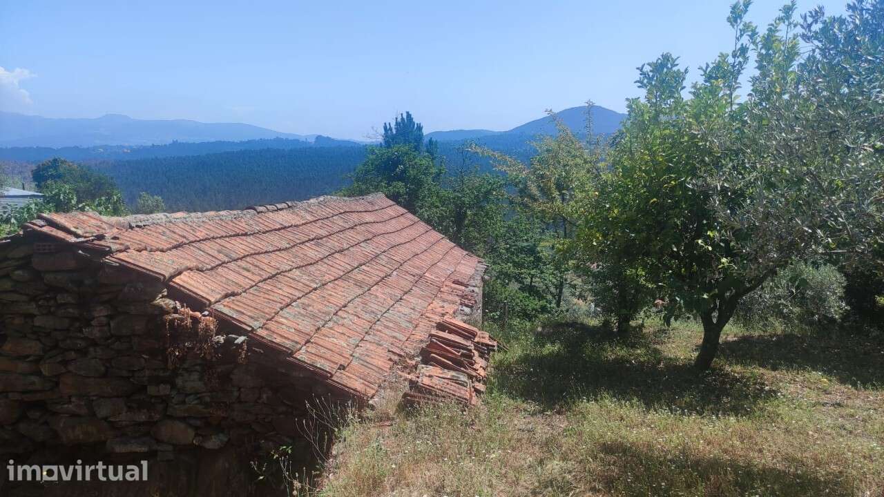 Casa/ Ruína em S. Miguel do Mato - Grande imagem: 5/24