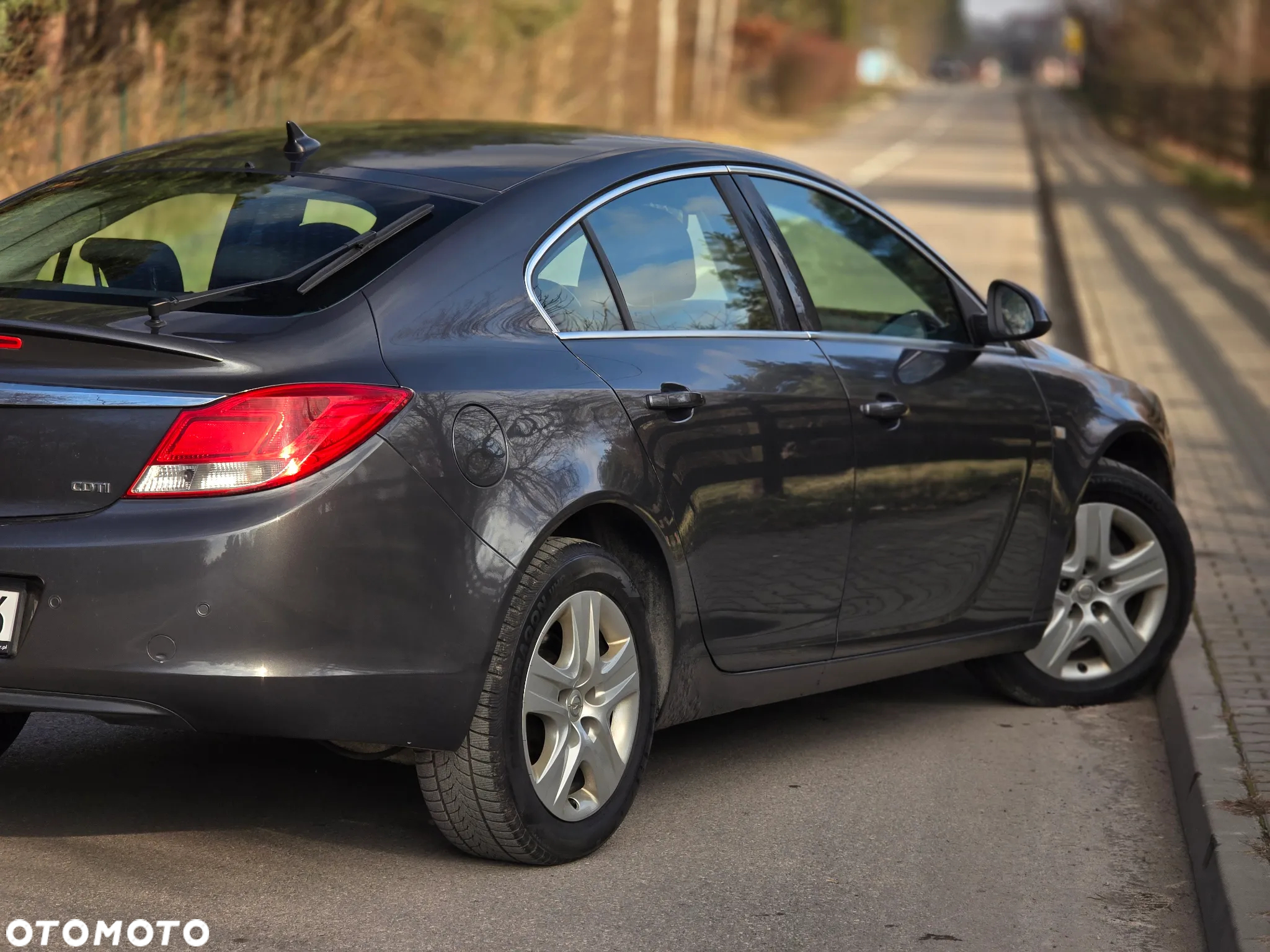 Opel Insignia 2.0 CDTI Cosmo - 38