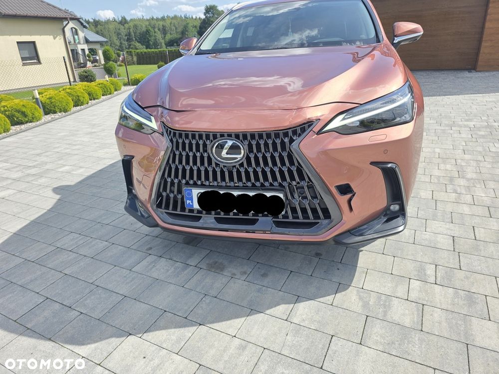 Lexus NX 350h Omotenashi AWD - 13