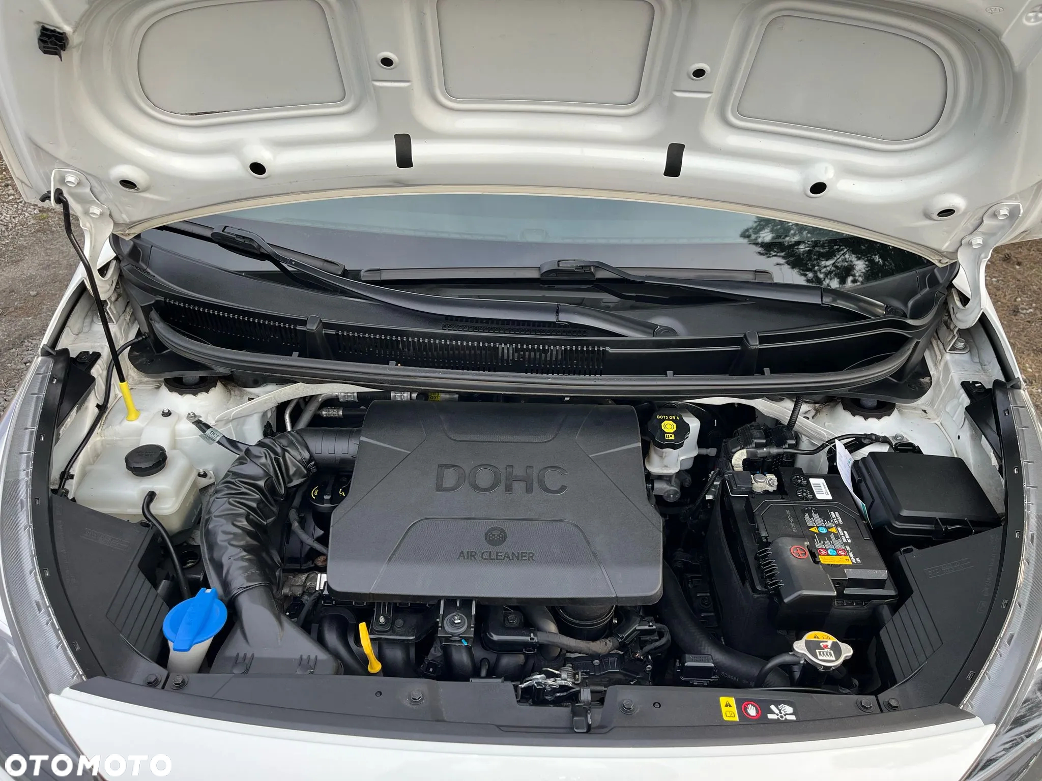 Kia Picanto 1.2 ISG Dream-Team Edition - 32