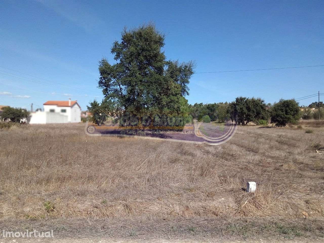 Terreno em Glória do Ribatejo (GLR018) - Grande imagem: 3/5