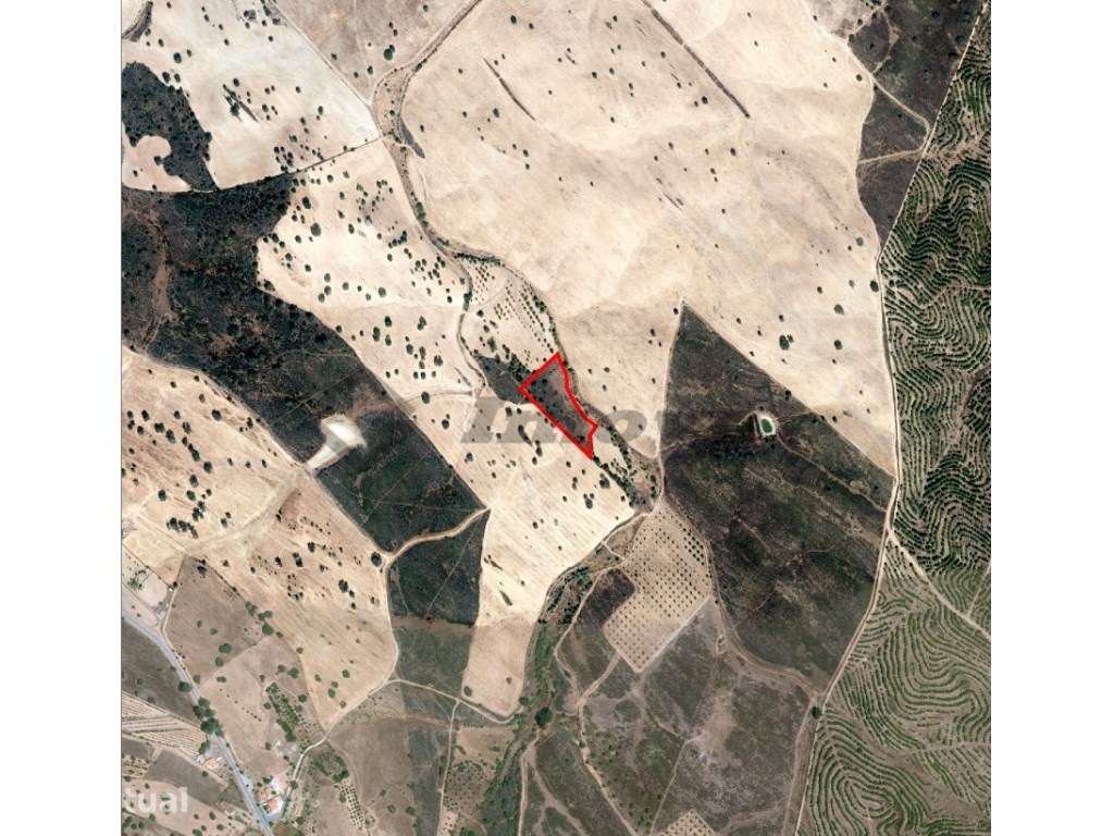 Terreno rústico de 0,65Ha localizado a cerca de 250mt da localidade... - Grande imagem: 3/10
