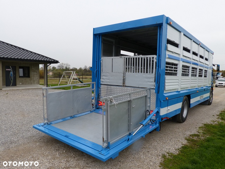 Mercedes-Benz AXOR 1829 DO ŻYWCA / ZWIERZĄT / BYDŁA Z WAGĄ / SUPER STAN / EURO 5 / DŁ. 7.50 M / CAŁY NA PODUSZKACH / DMC 18T!! - 19