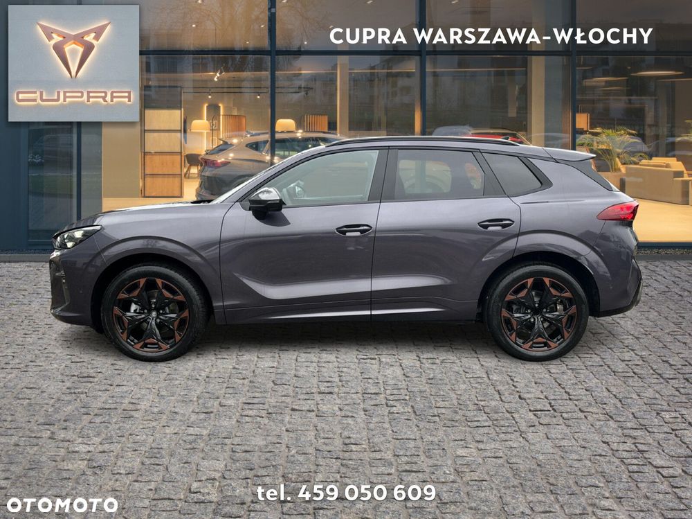 Cupra Terramar 2.0 TSI 4Drive DSG - 3