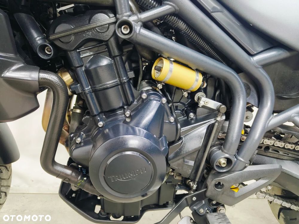 Triumph Tiger - 27