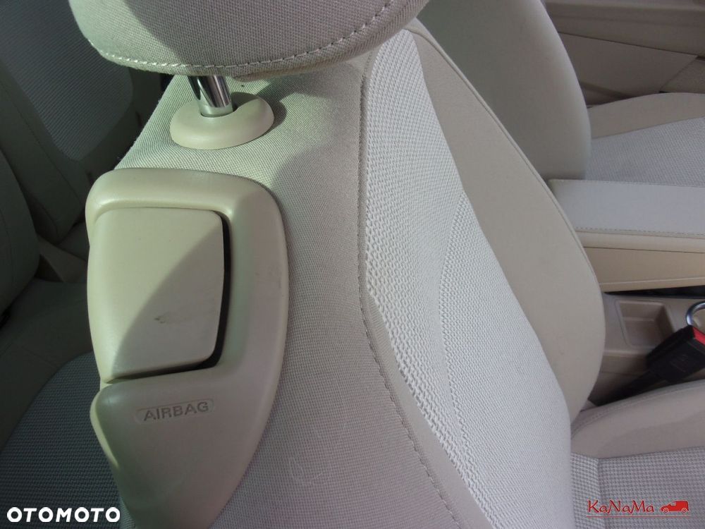 Volkswagen Beetle - 29