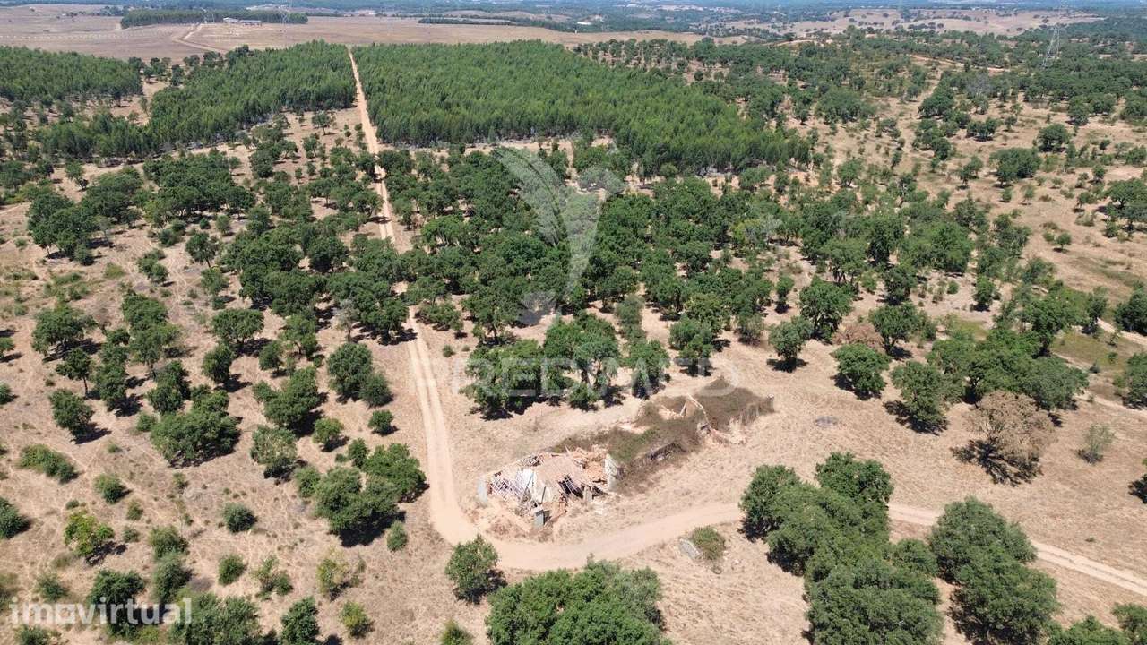 Propriedade de 43,5 Hectares junto à Barragem de Campilhas | Santia... - Grande imagem: 2/6