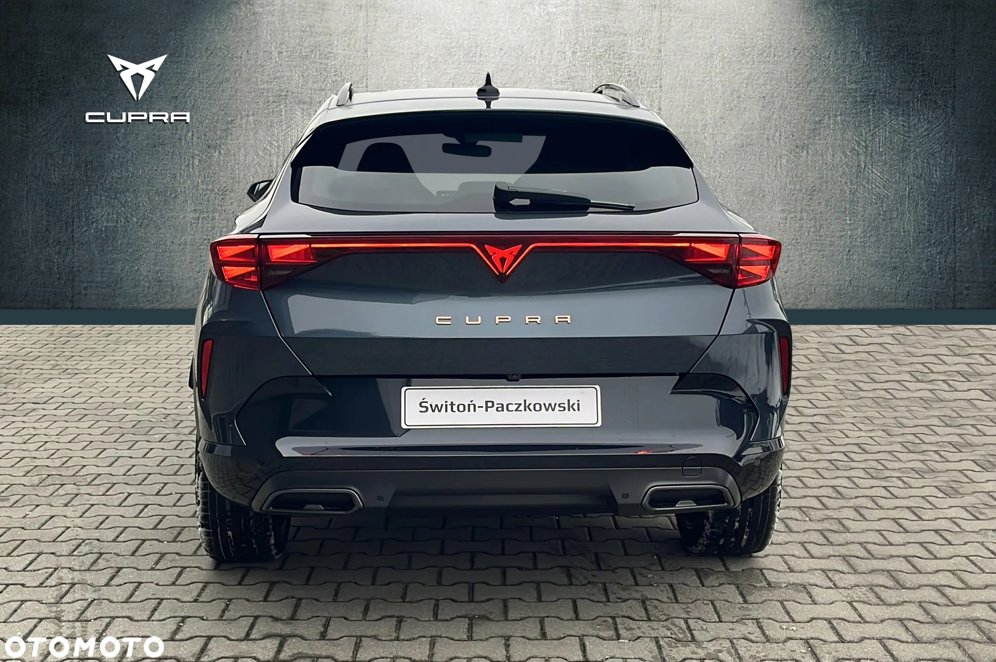 Cupra Formentor 2.0 TSI 4Drive DSG - 4