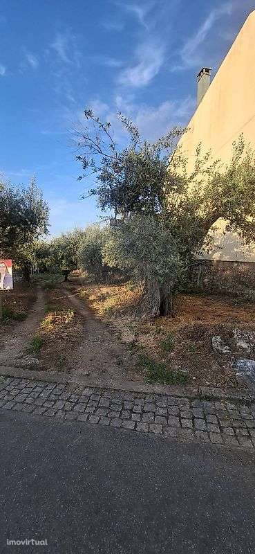 Terreno  para venda - Grande imagem: 3/7