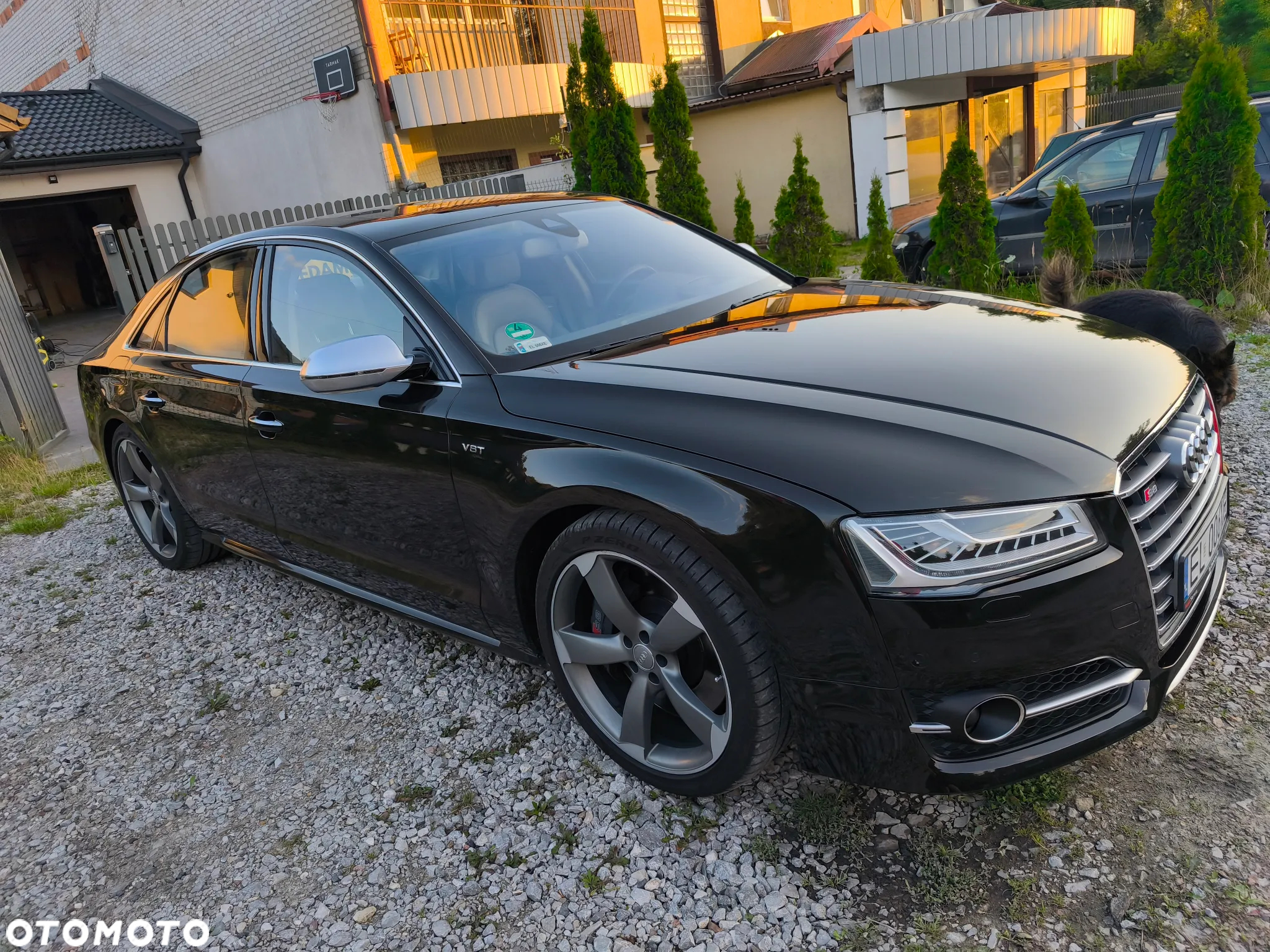 Audi S8 4.0 TFSI Quattro - 16