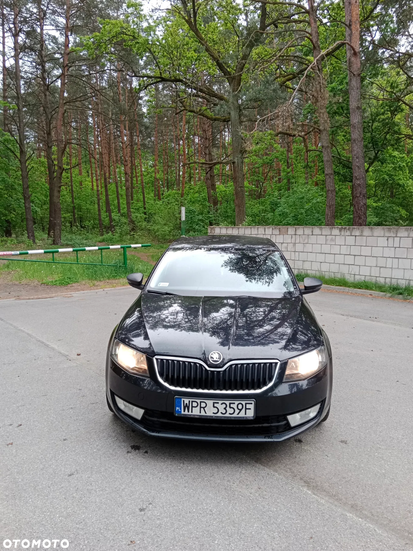 Skoda Octavia 1.2 TSI Active - 2