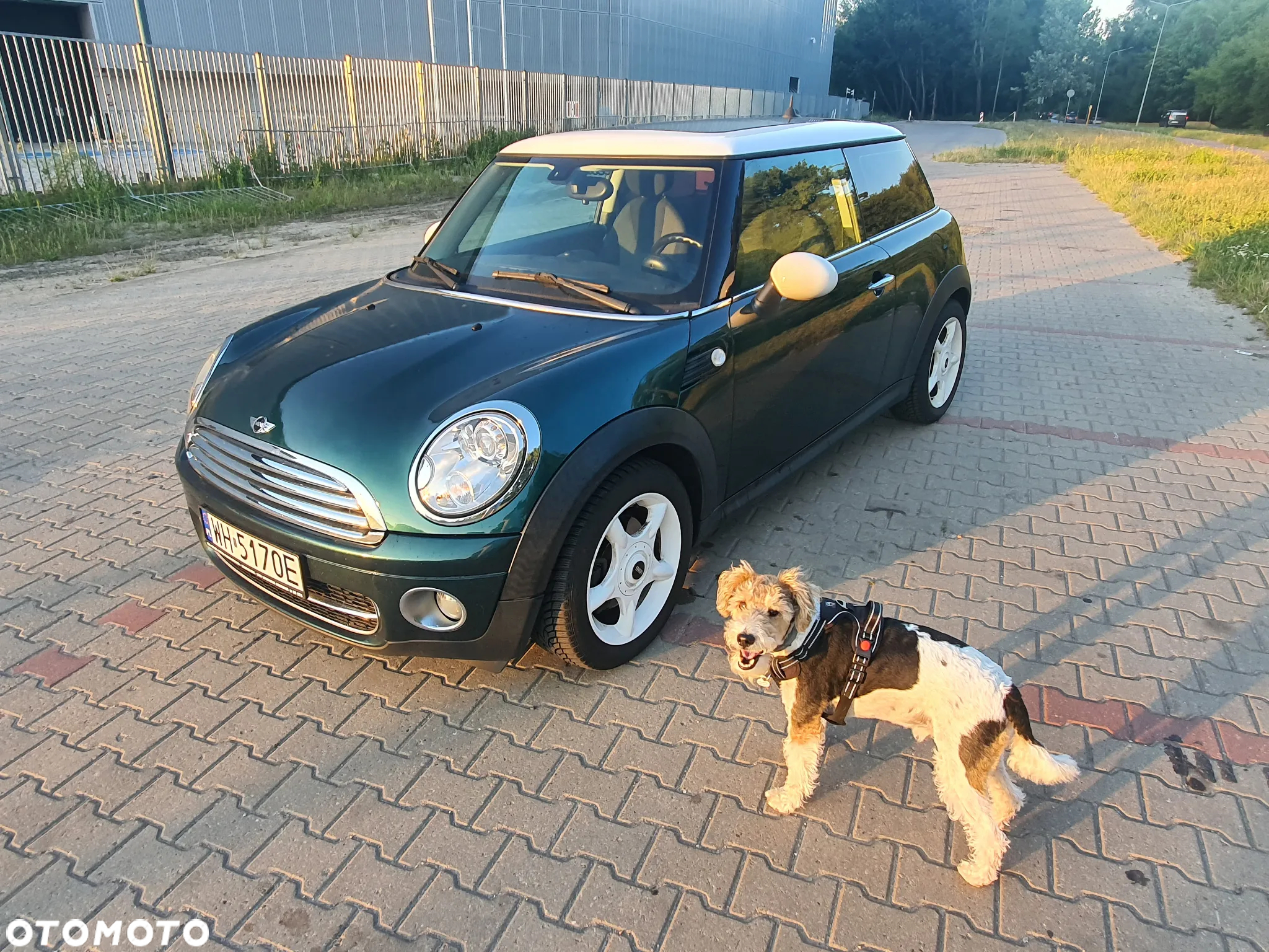 MINI Cooper D - 3