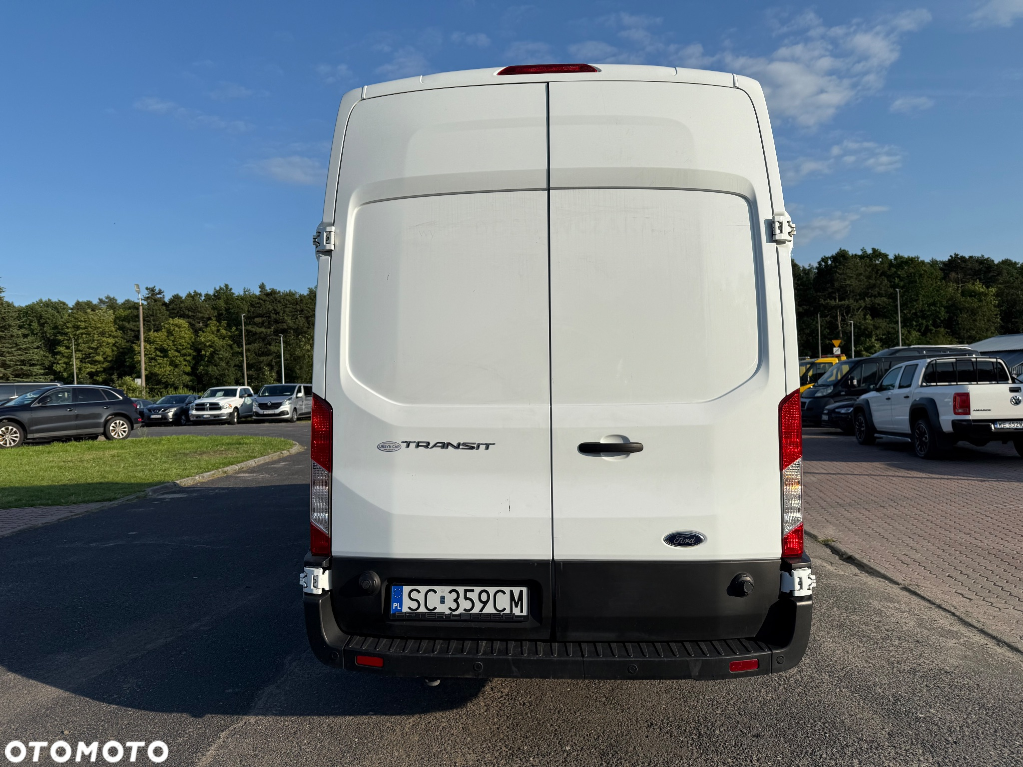 Ford Transit - 6