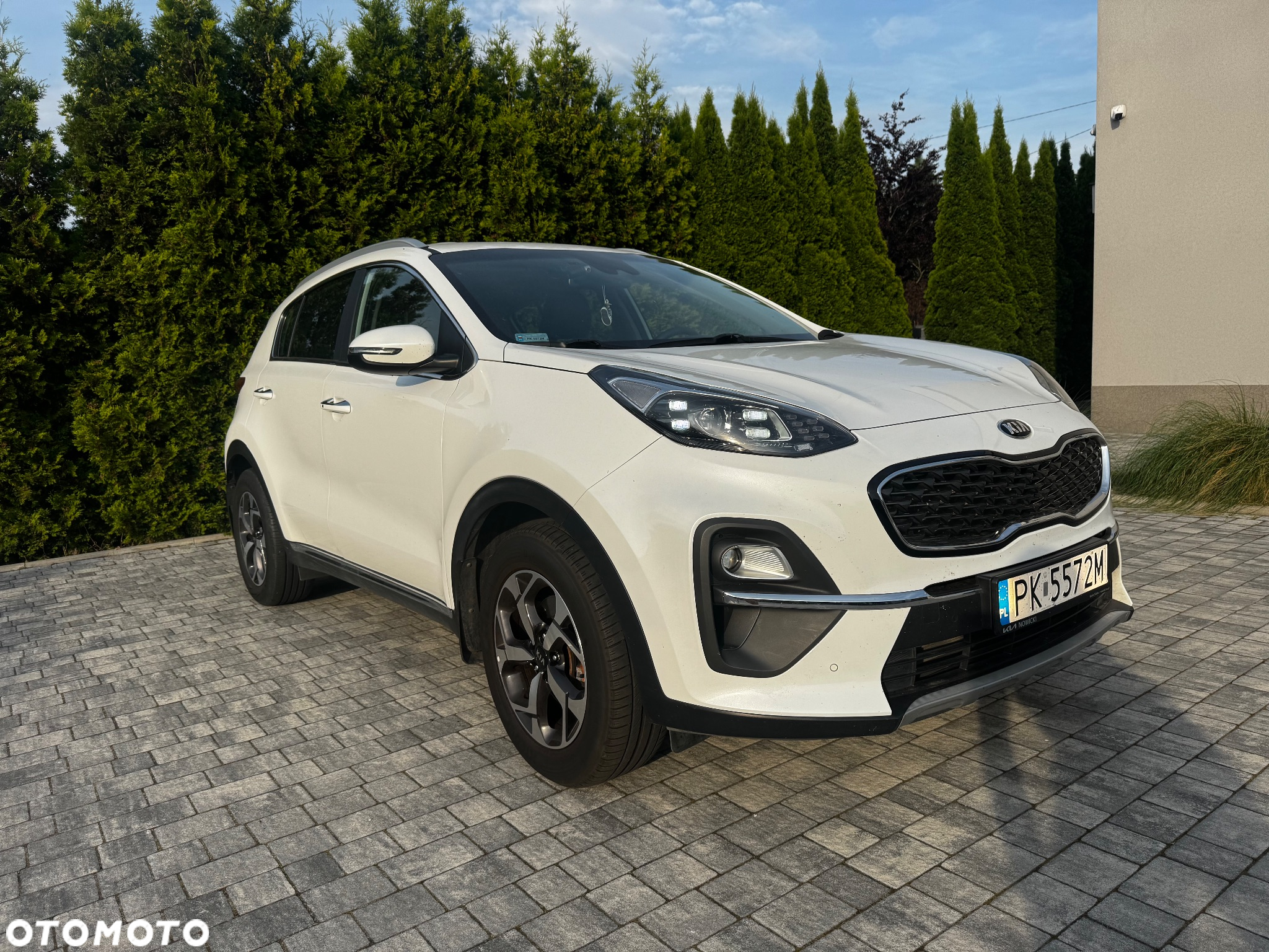 Kia Sportage 1.6 T-GDI L 4WD DCT - 2