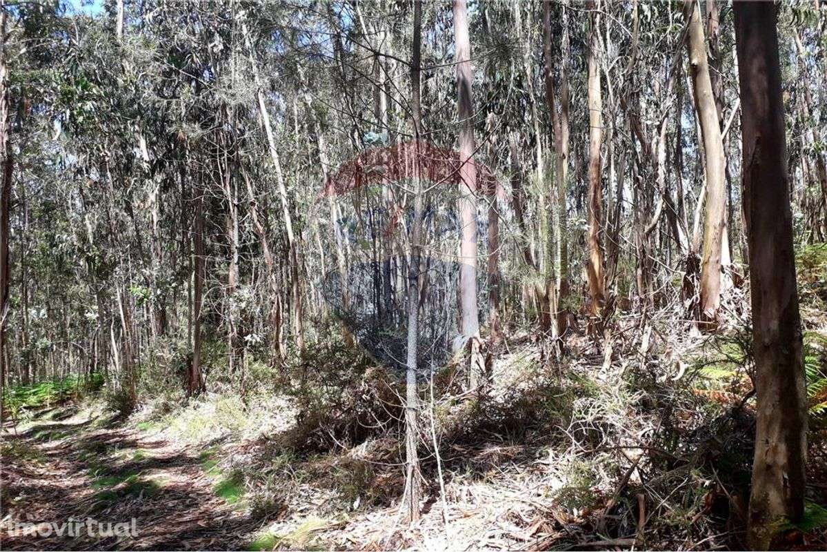 Terreno  para venda - Grande imagem: 5/5