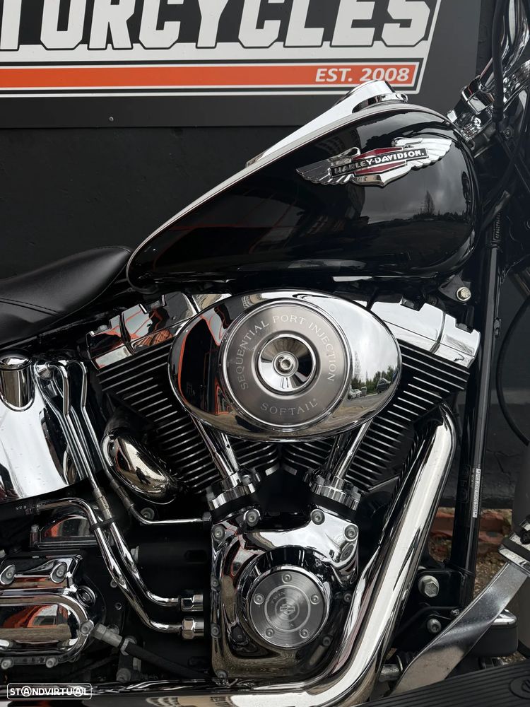 Harley-Davidson FLSTNI Softail Deluxe - 2