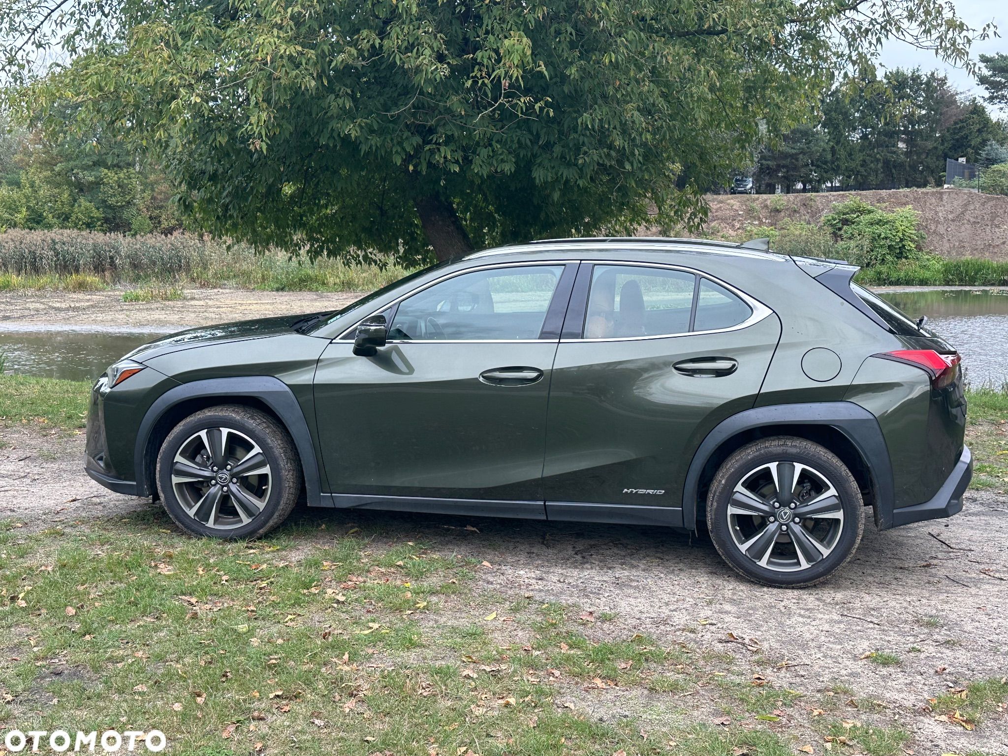 Lexus UX 250h GPF Prestige AWD - 1