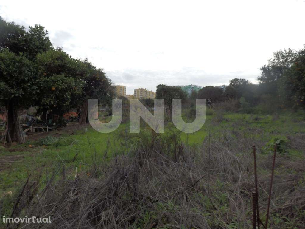 Terreno para loteamento - Grande imagem: 4/24