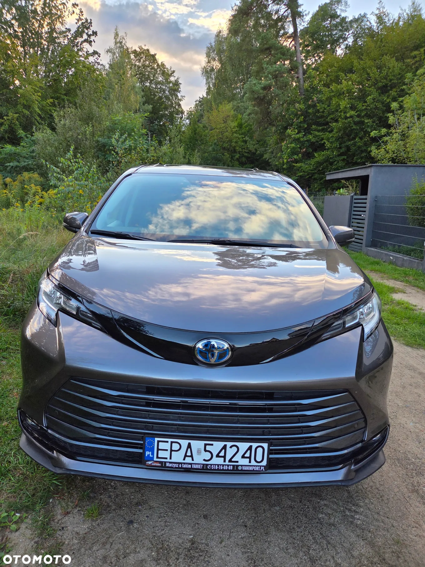 Toyota Sienna - 3