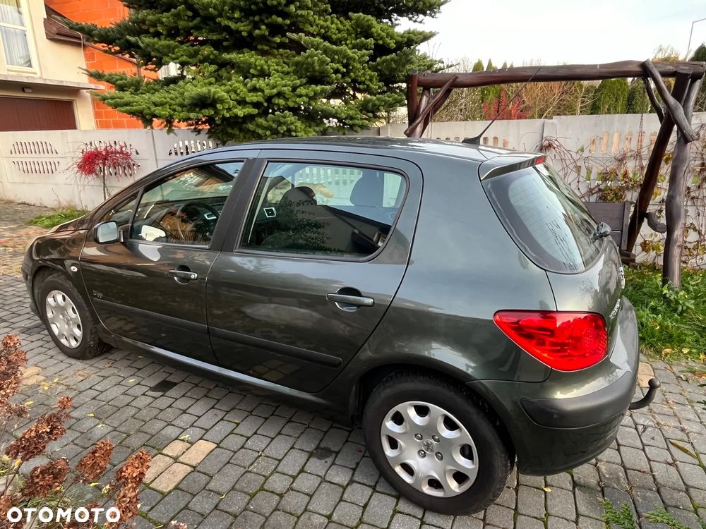 Peugeot 307 - 3