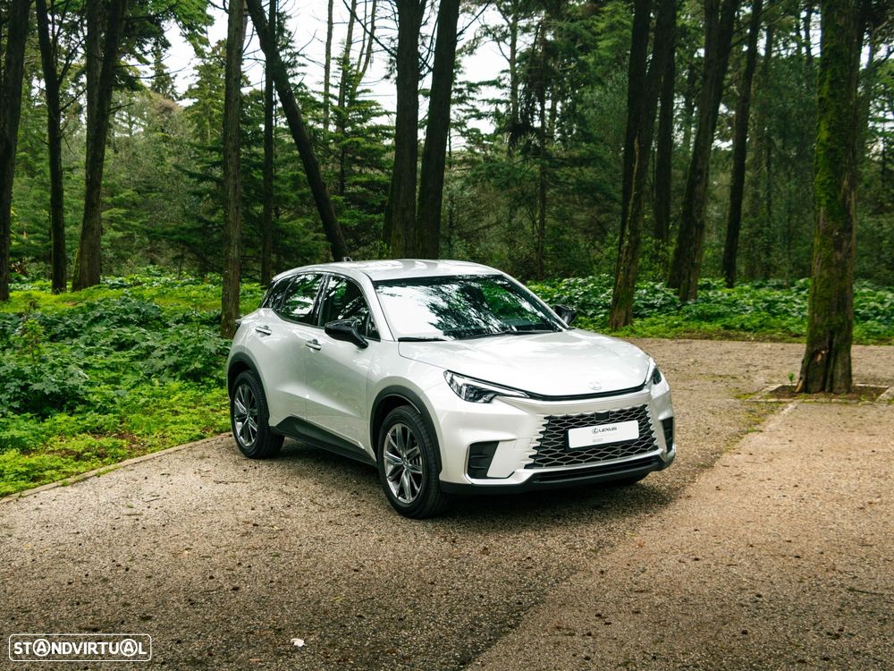 Lexus LBX - 17