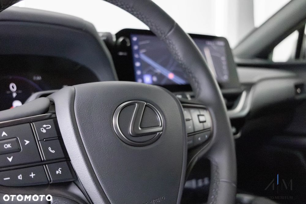 Lexus UX 300h F Sport Design AWD - 19