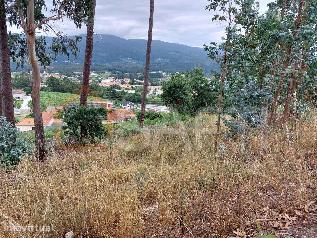 TERRENO CONSTRUTIVO - Grande imagem: 2/2