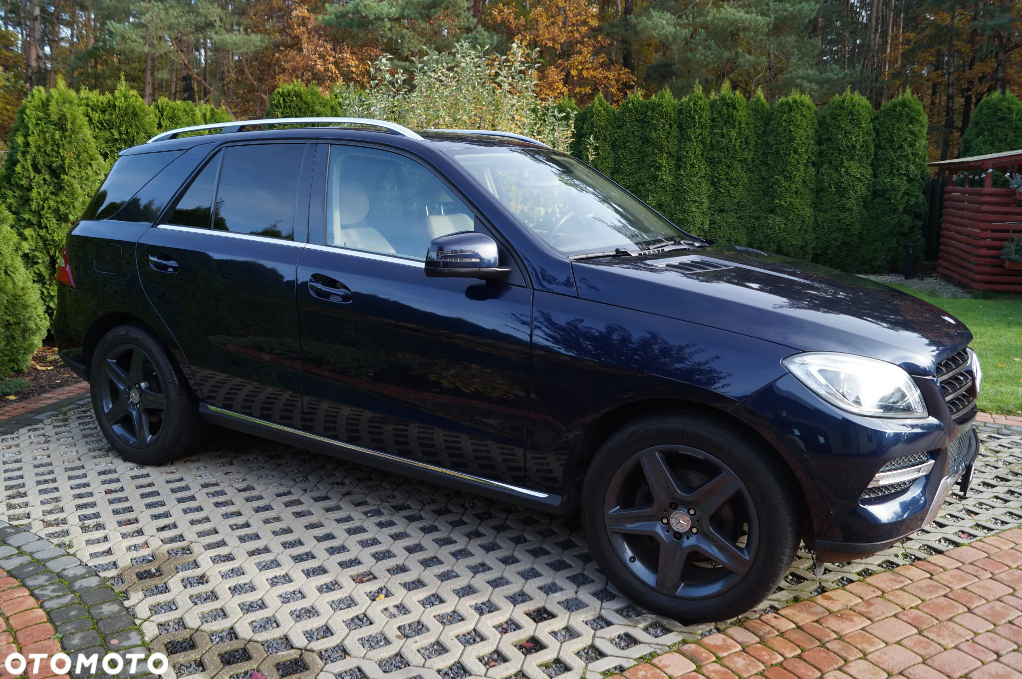 Mercedes-Benz ML 350 BlueTec 4-Matic - 5