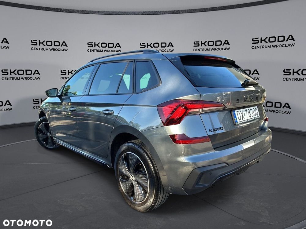 Skoda Kamiq - 10