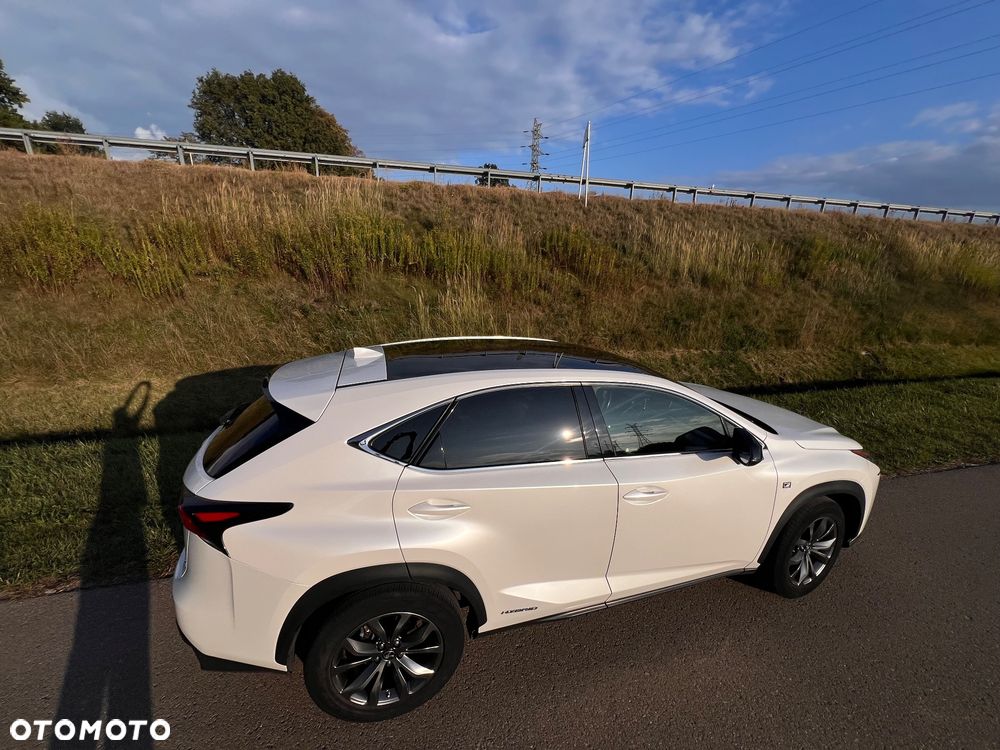 Lexus NX 300h F Sport Edition AWD - 6