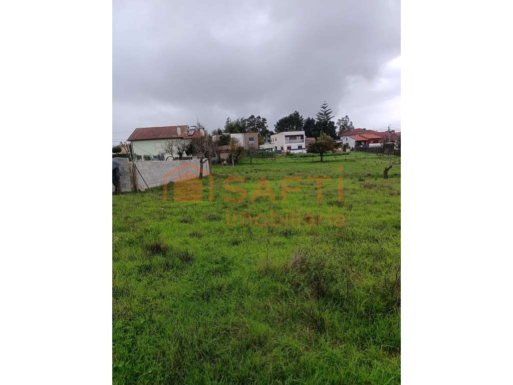 Terreno Urbano Albergaria-a-Velha Lote 4 - Grande imagem: 3/4