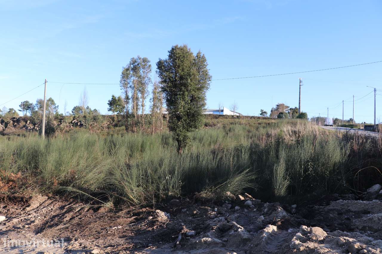 Terreno Para Construção  Venda em Lustosa e Barrosas (Santo Estêvão),L - Grande imagem: 5/6