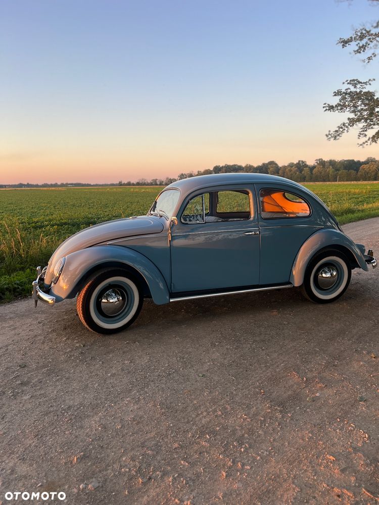Volkswagen Garbus - 7